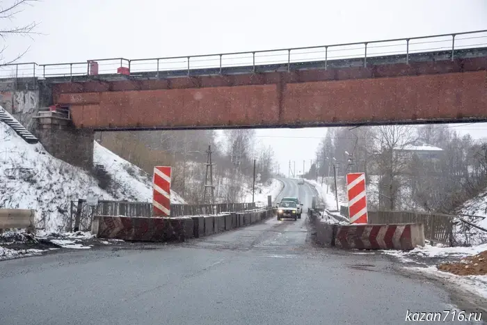 Five cases of vehicle collisions with wild animals have been recorded in Tatarstan since the beginning of the year.