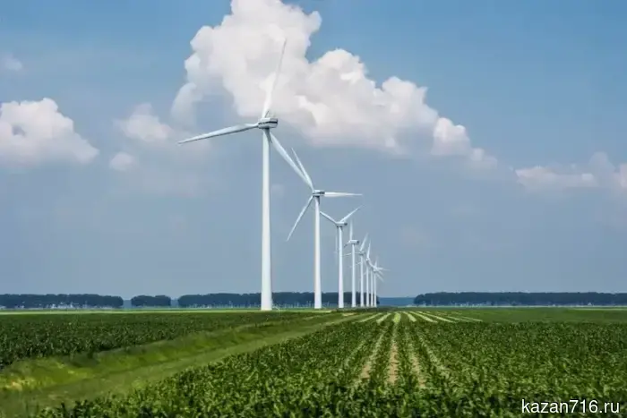 A wind farm is planned to be built in the Buinsky district.
