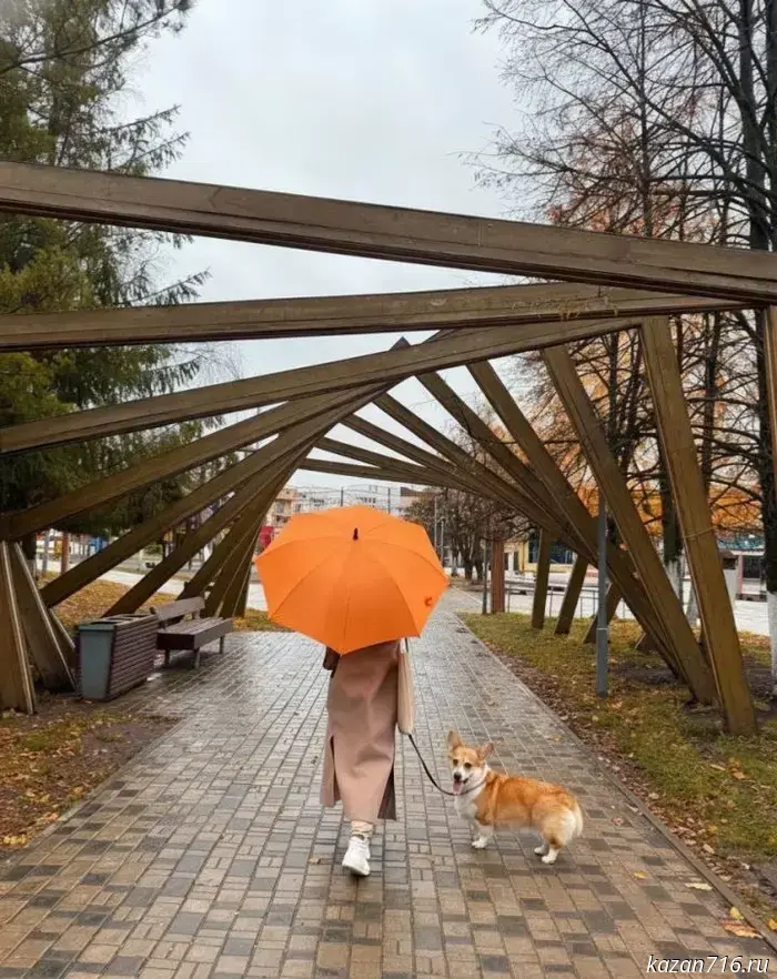 Wet snow is expected in Mendeleevsk on November 22.