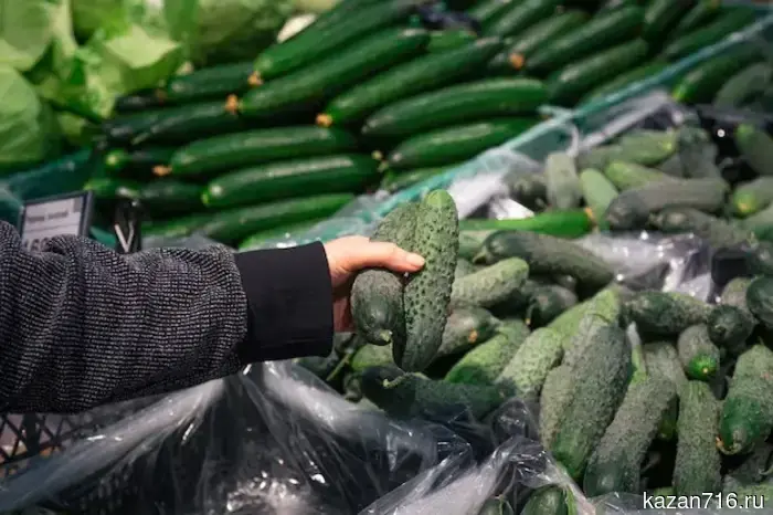 In Tatarstan, cucumbers, butter, and sour cream have become cheaper over the week.