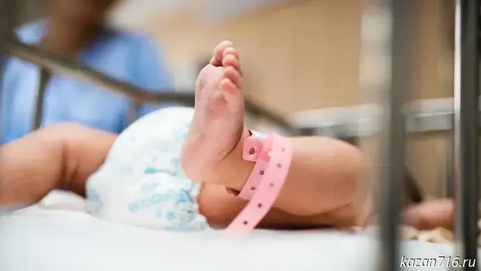 The OSFR for the Republic of Tatarstan has issued maternity certificates totaling 216 million rubles since the beginning of 2025.