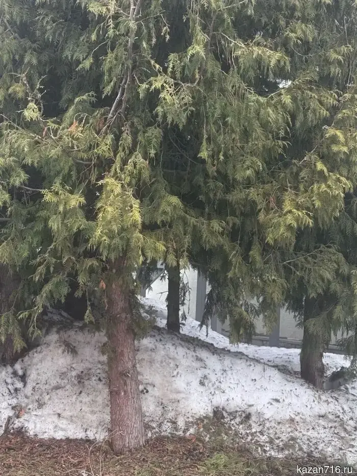 Когда в Татарстане сойдет снег.