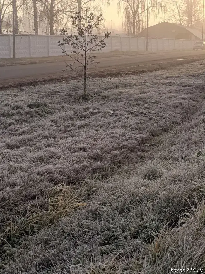 Weather in Tatarstan on December 2: cloudy with clear spells, locally fog and icy patches.