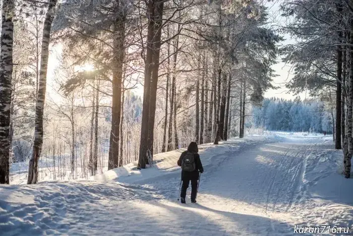 Walking, yoga and cortisol control: which activities can help you cope with stress