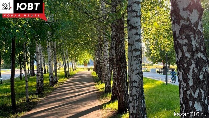 Event schedule for the week from July 7 to July 14 in Almetyevsk