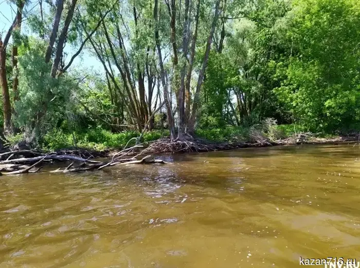 Шошма увеличилась на 168 см за сутки, однако уровень воды в Татарстане остается в пределах безопасных значений.