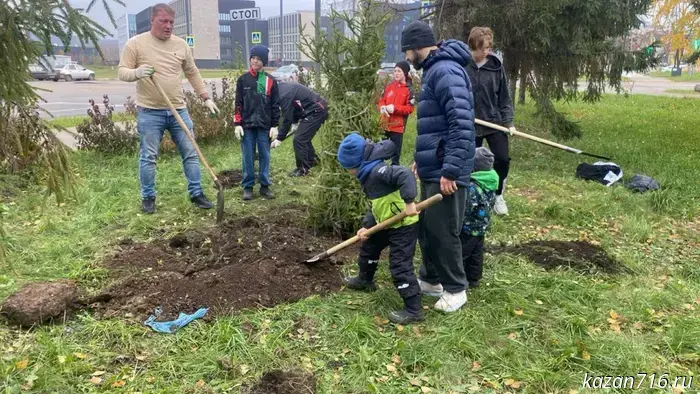 В Комсомольском парке посадили ели в честь Дня отца.