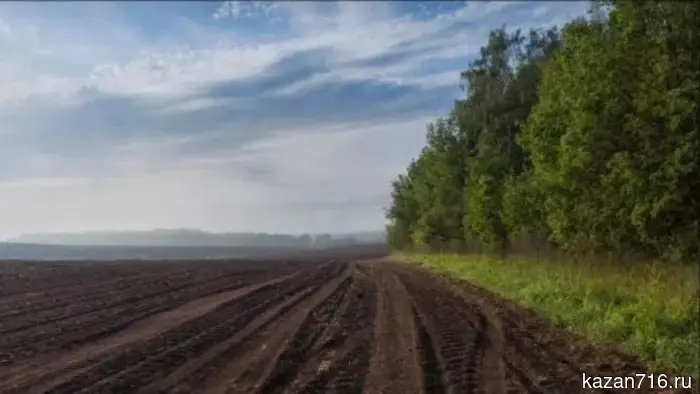 The Rosreestr of Tatarstan will check 750 geodetic points in 2026.