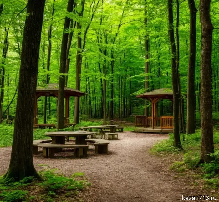 In Tatarstan, 225 forest recreation areas have been arranged.