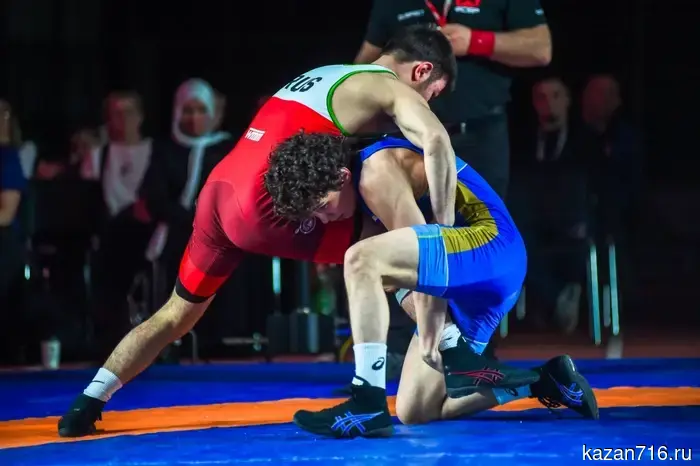 Tatarstan athletes won 23 medals at the All-Russian freestyle wrestling tournament in Nizhnekamsk.