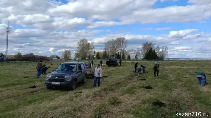 A new park has been established in the village of Stepnoye Ozero.