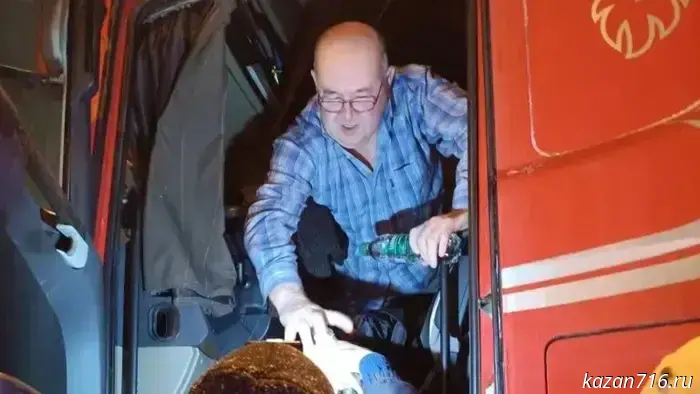 Гюзель Хабутдинова, глава Альметьевского района, дала указание организовать доставку горячих блюд для водителей грузовиков на закрытых участках дорог.