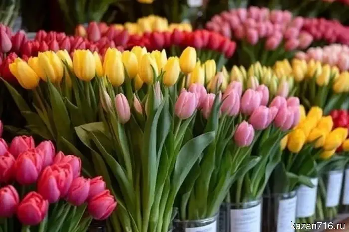 В Казани 8 Марта были оштрафованы нелегальные торговцы цветами.