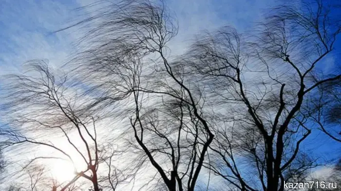 Consultation – warning about the intensity of meteorological phenomena in the Republic of Tatarstan