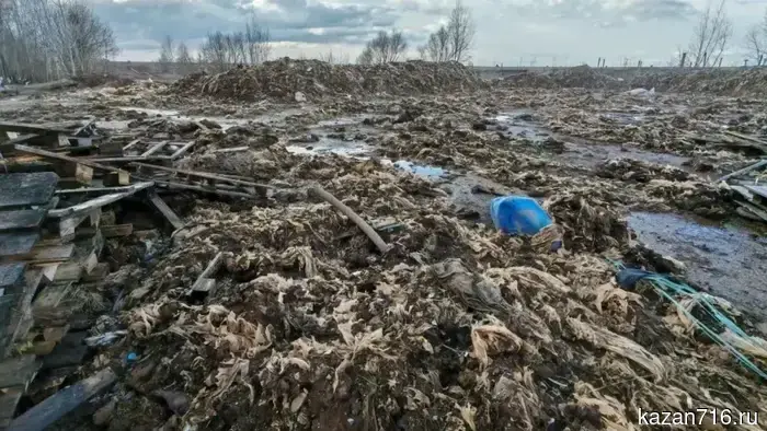 The court upheld the environmentalists' demand for the liquidation of a landfill the size of two football fields in the Nizhnekamsk district.