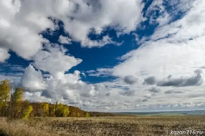 In Tatarstan, 4.6 million hectares of land are allocated to agriculture.