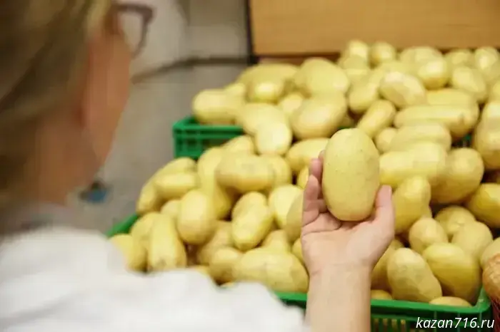 Potatoes have become cheaper in Russia.