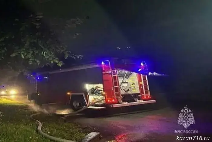 A criminal case has been opened after a fatal fire near Chelny.