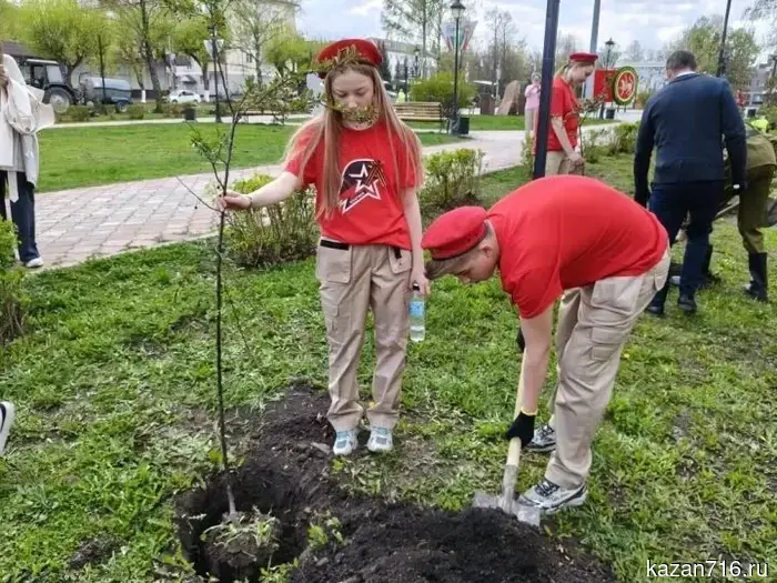 In Zainsk, decorative apple trees were planted on Victory Boulevard for May 9th.