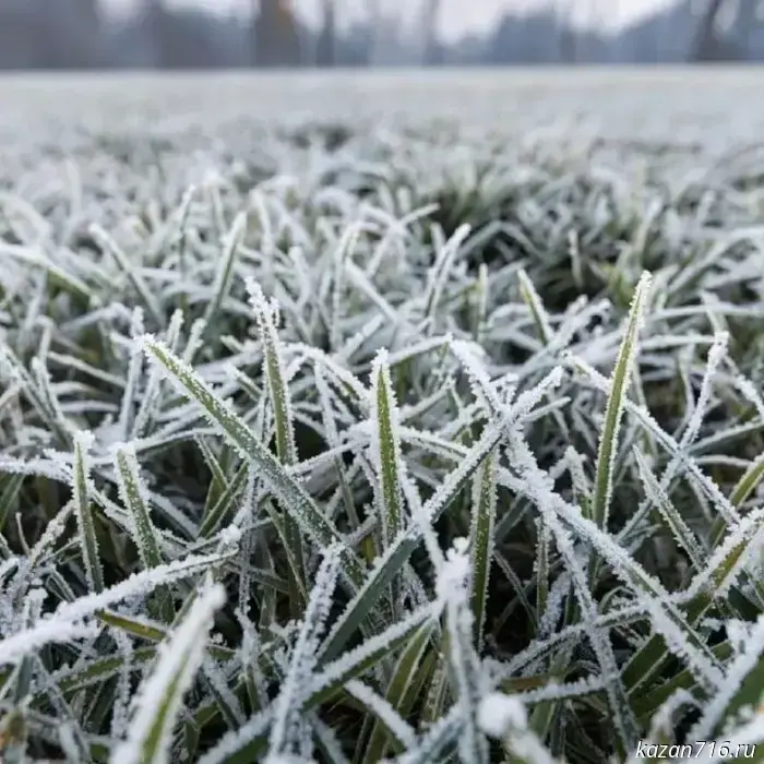 Frosts are expected in Tatarstan.