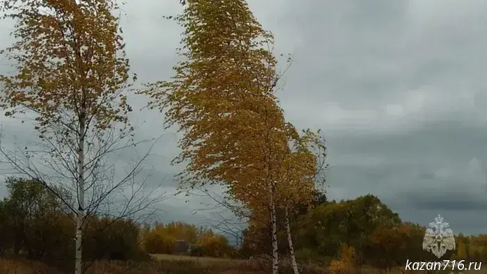 Emergency warning for 28.11.2025.