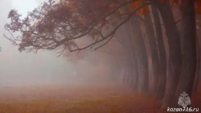 Emergency warning for 11.11.2025.