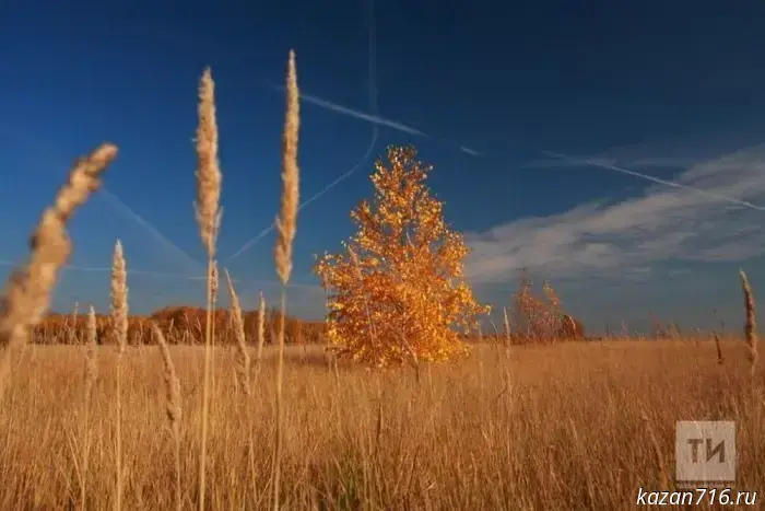 Autumn traditions and folk omens on September 16