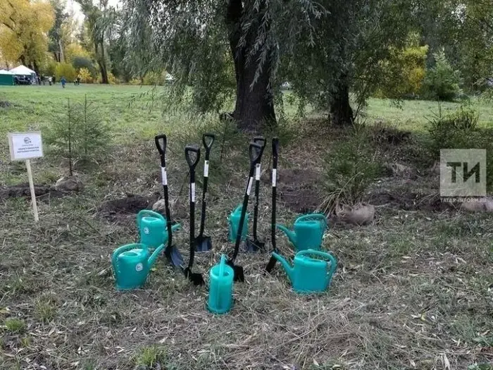 В Бавлах состоится мероприятие «Сохраним лес».