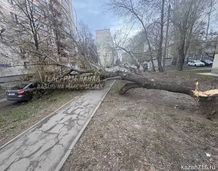 Hurricane in Kazan: cars crushed by trees, broken gas pipes, torn-off garage
