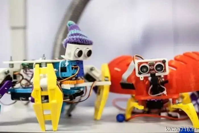 Изменения в образовательной системе - краеведение и история, переход на платформу MAХ, увеличение профориентации: какие новшества были внедрены в школах Татарстана.