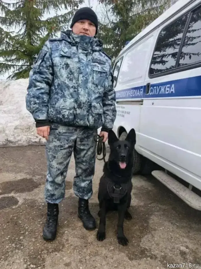 В Казани служебная собака способствовала задержанию грабителя, который напал на магазин электроники.