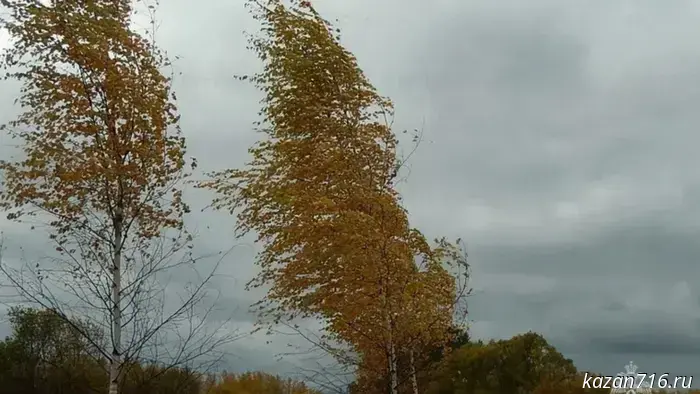 Emergency warning for November 25, 2025.