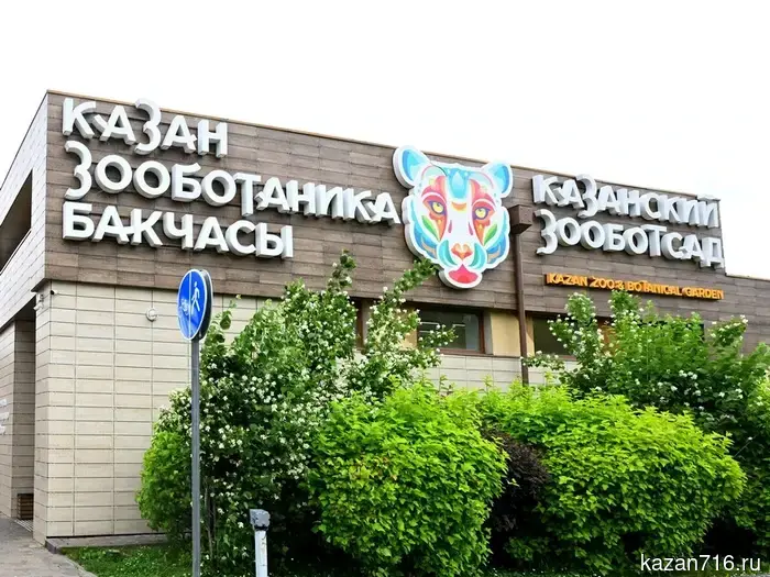 A new director has been appointed to the Kazan Zoo.