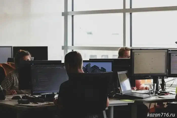 The Ministry of Digital Development confirmed an increase in insurance contributions for IT companies and the abolition of VAT on domestic software.