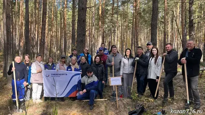 Волонтеры «Транснефть – Прикамье» посадили в татарстанском заповеднике 3,5 тысячи саженцев сосен и елей.