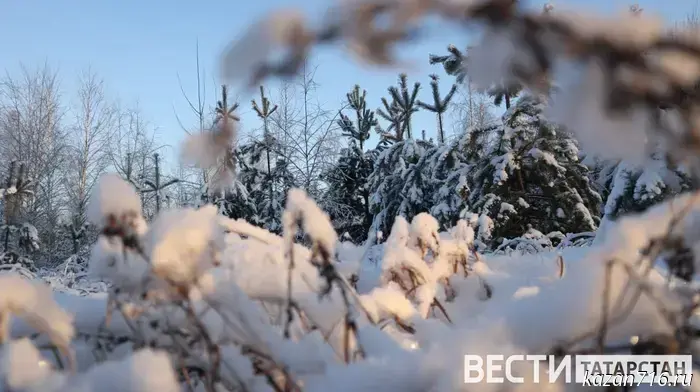 В этом году в Татарстане зима ожидается снежной.