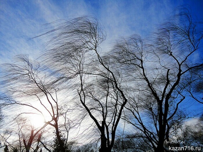 Экстренное уведомление на 17 апреля 2026 года.