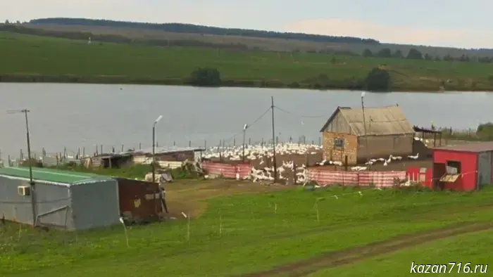 Free access to the pond has been restricted in Aznakaevsky District.
