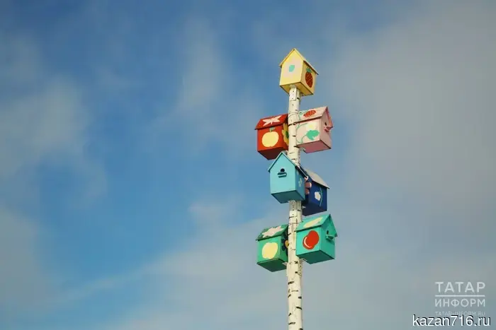 Весеннее возвращение птиц: грачи прибыли раньше, а скворцам не хватает мест для гнездования.