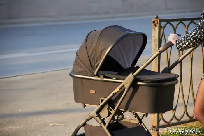 Tatarstan to launch rental outlets for baby items.