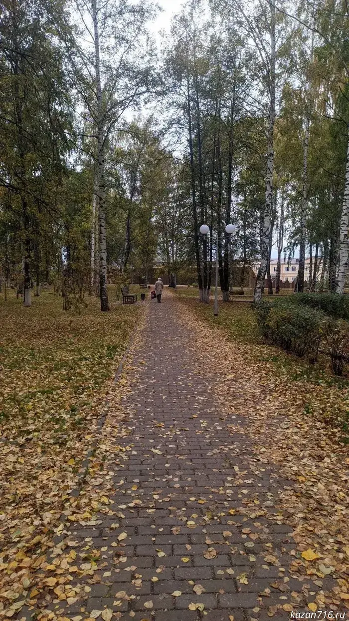 Weather forecast in Tatarstan for Tuesday, October 28