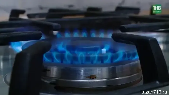 Gas without queues: in Tatarstan, contracts for maintenance and fuel supply are now concluded online.