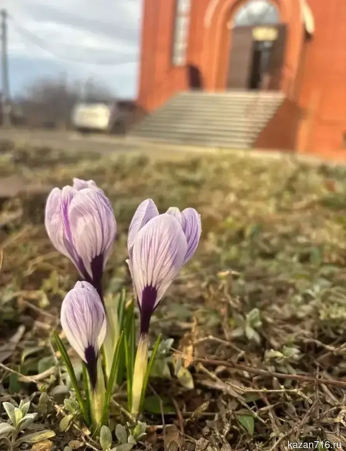 Приглашаем прихожан на субботник перед Пасхой.