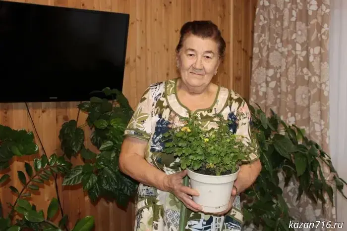 Eighty Years Is Not the Limit, or the Begishevskaya Businesswoman