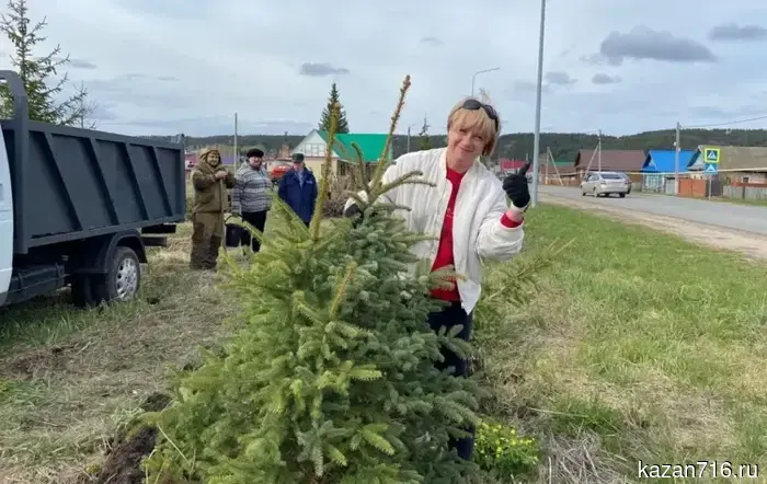 В Нижнекамском районе был создан «Парк памяти» из 40 елей.