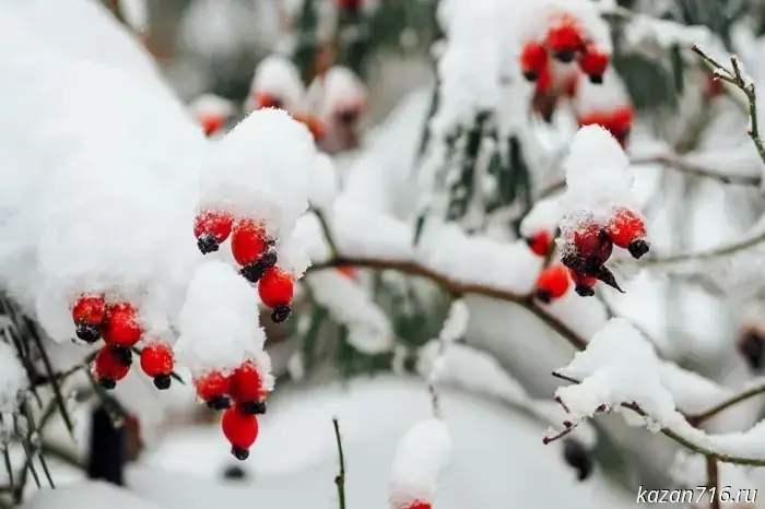 Snow is expected in Tatarstan in a few days.