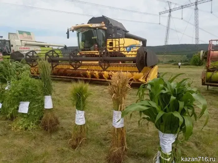 В Заинске проводят проверку готовности техники к уборочной кампании.