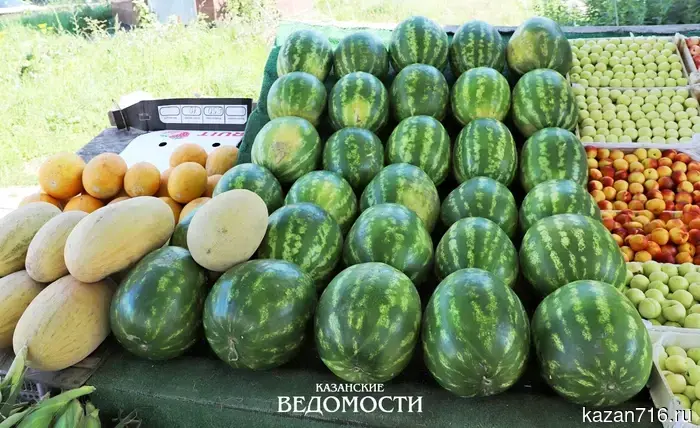 Сочный арбуз и невидимая угроза