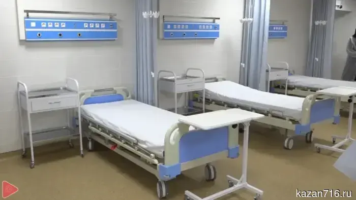 Роспотребнадзор выделил районы РТ с повышенным риском заражения мышиной лихорадкой.