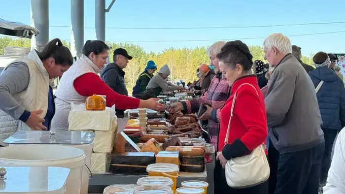 Autumn agricultural fairs have opened in Naberezhnye Chelny.